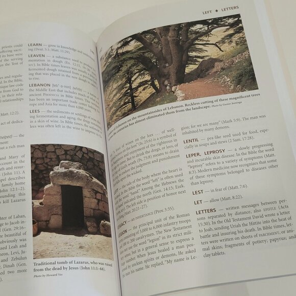 NEW copy Nelsons Bible Dictionary paperback - Picture 2 of 2